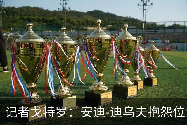记者戈特罗：安迪-迪乌夫抱怨位置不合时宜